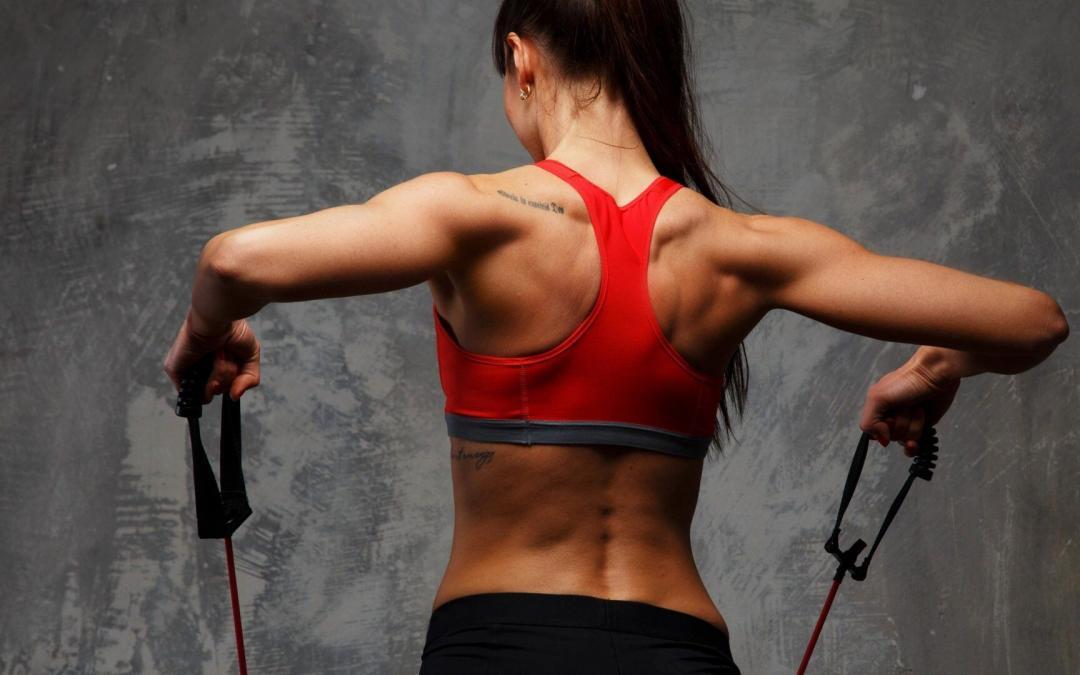 Η θεωρία για τους μύες μας!